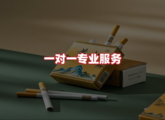 专业团队